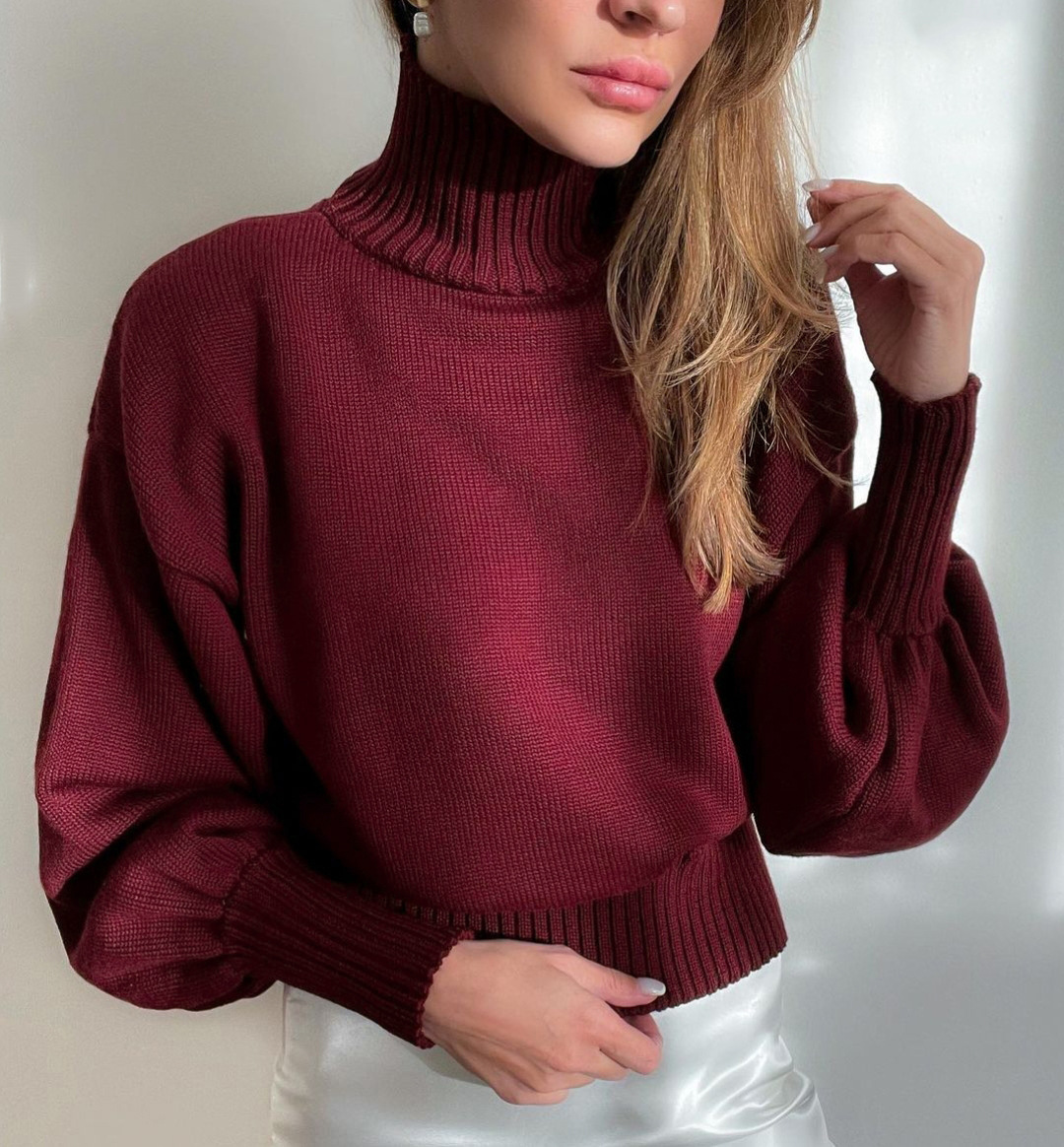 Women's Sweater Long Sleeve Sweaters & Cardigans British Style Solid Color display picture 1