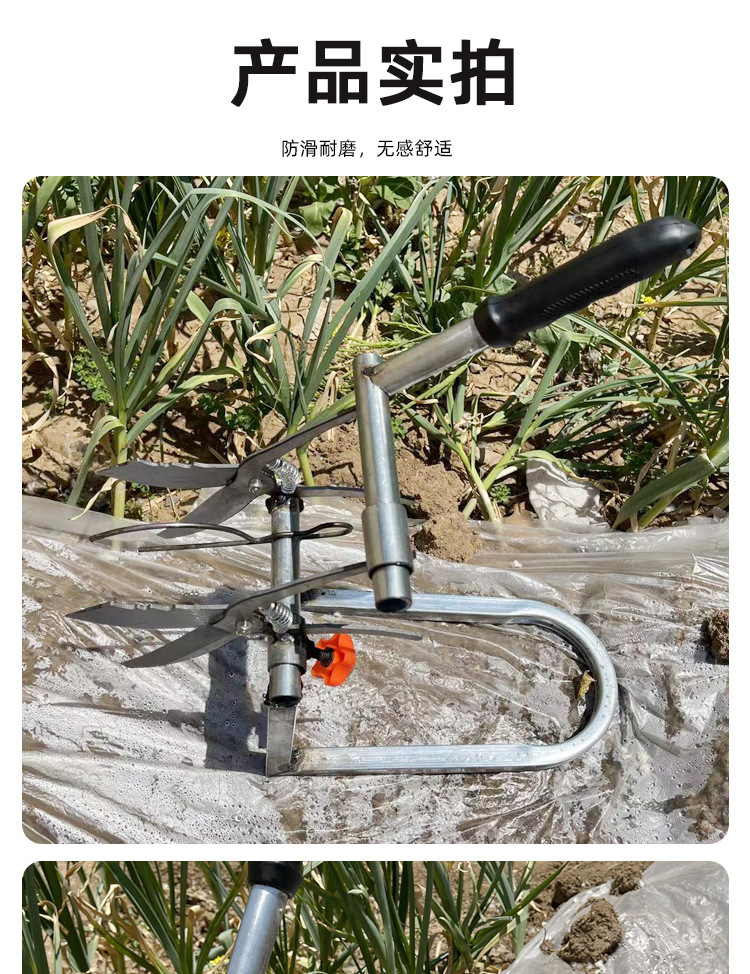 O1CN01A0rB6j1MMrZ5lPcYC_!!4070