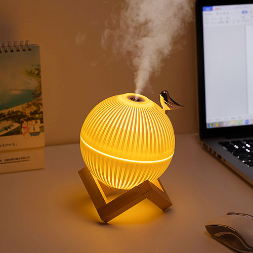 Creative Planet Humidifier USB Hydrating Spray Air Humidifier Mini Home Lark Bracket Ambient Light