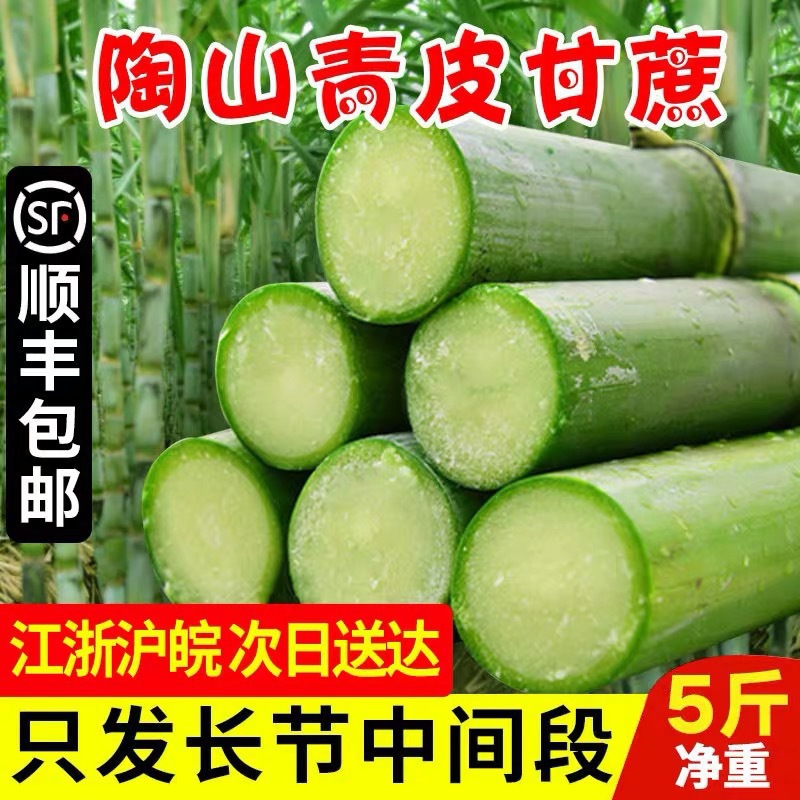 SF Express Tao Shan Sugarcane Green Peel Green Skin Sugarcane for Pregnant Women Fresh Fruit Seasonal Cane Freshly Cut 5 Jin Crispy Sweet
