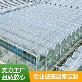 温室、大棚;农用遮阳网;镀锌管