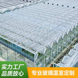 玻璃温室大棚暖棚西瓜蔬菜养殖农业观光可配遮阳网  智能骨架大棚
