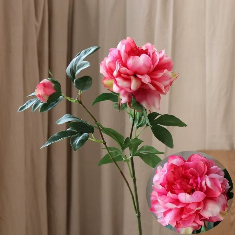 진한 분홍색