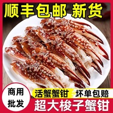 ��S����з�Q�����rˮ�a���r���з�Q�������l����wз�ȟ������l