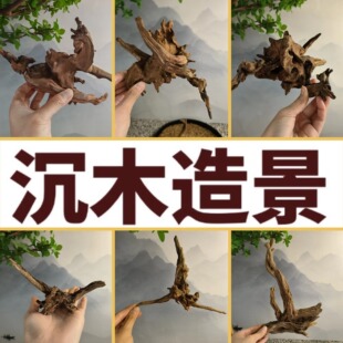 ���N���쾰��ľ���~�מ�����̨�[�������͘���䘶�����������ľ