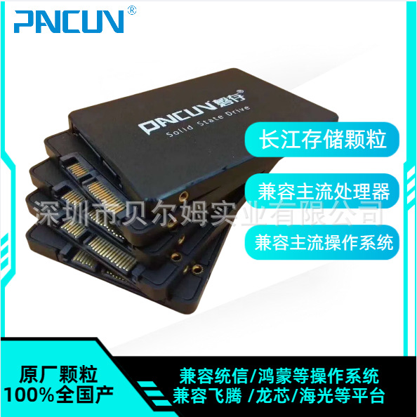 Pancun Changjiang Storage 2.5 Sata3 Ssd Industrial Compatible with Hailong Feiteng Longxin National Solid-State Drive