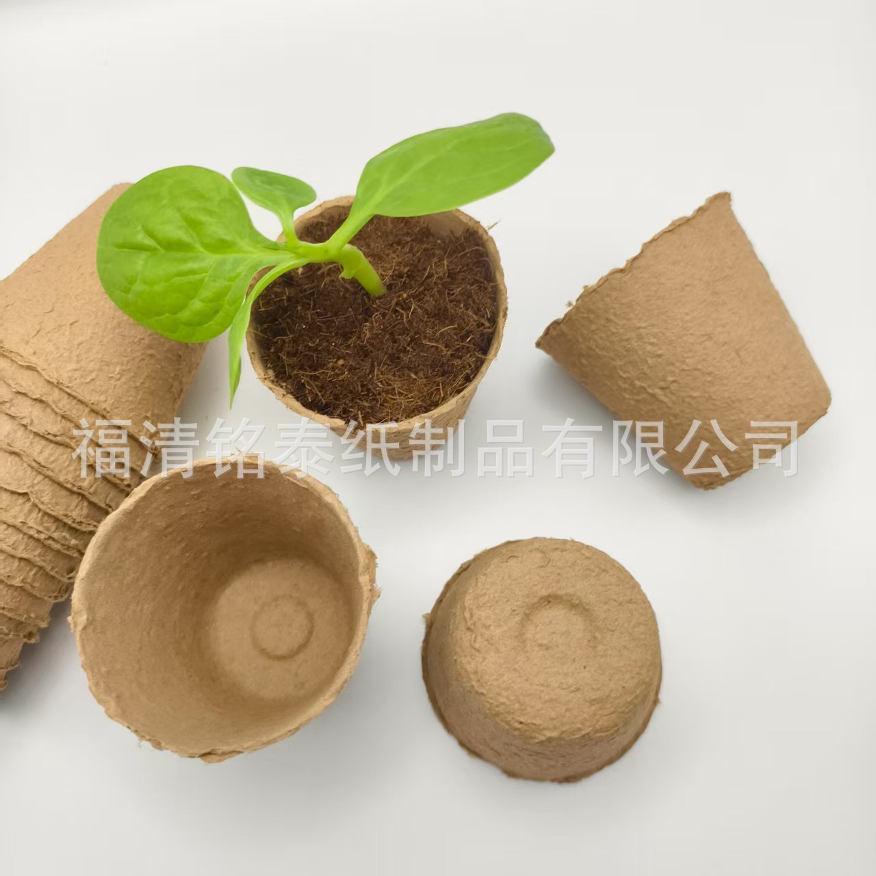 微信图片_20250912212955_65_36