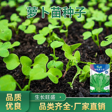 }Nѿļ̨͟ļ߲˷N}Nl