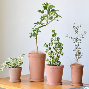 ���W�OӋˮ��߻�����_͸��t���������������m�ߙn�Gֲ���Ԏ���