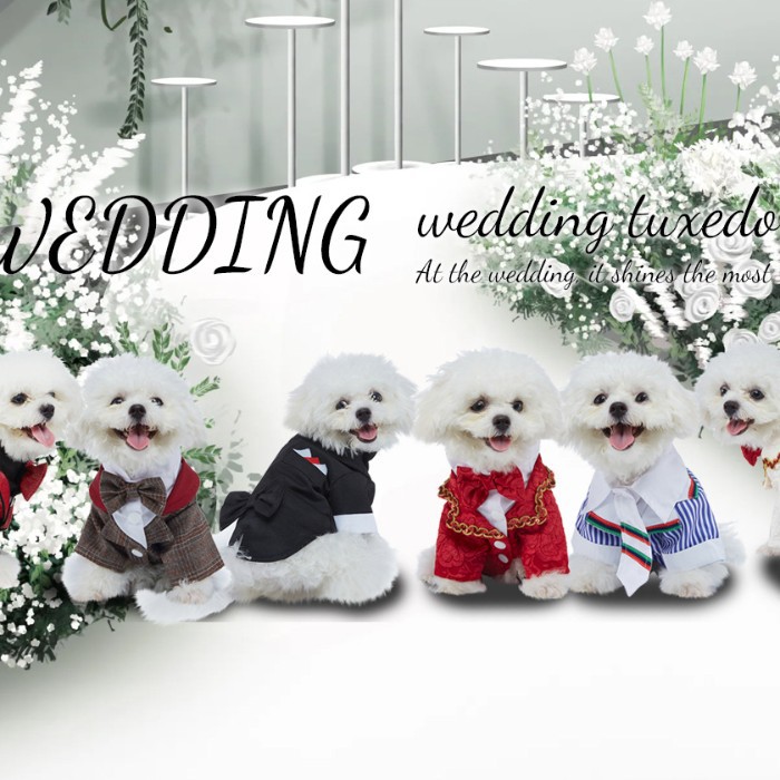 Polyester Dog Clothes Formal Shirts Ties Suits Pet Supplies For Christmas Weddings Top Sellers_voghion.com