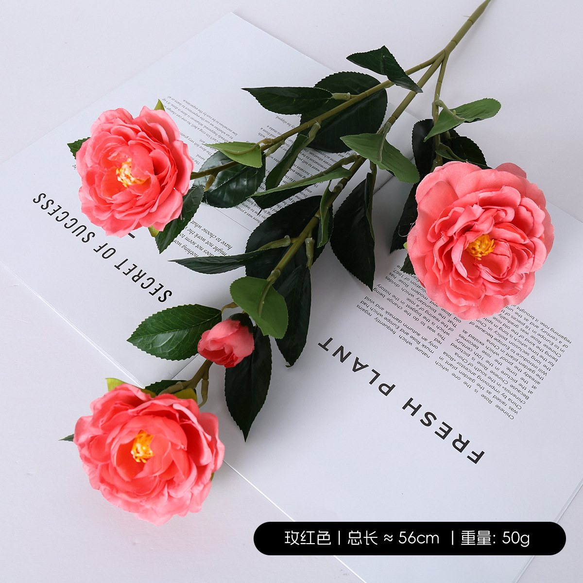 Una sola camelia / rosa roja