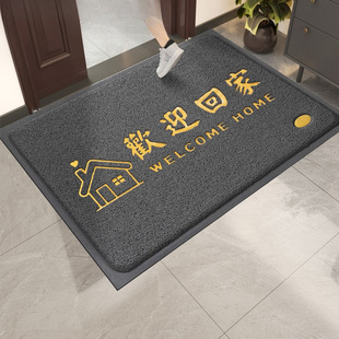 进门地垫大门口丝圈脚垫家用入户门出入平安门垫地毯门外耐脏防滑-阿里巴巴
