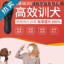 ����Ӗ؈���ָӖȮ�Ƭ���ﹷ���RȮӖ����ƷӖ����