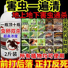 x=rșÚx׾S}xҹxС˶