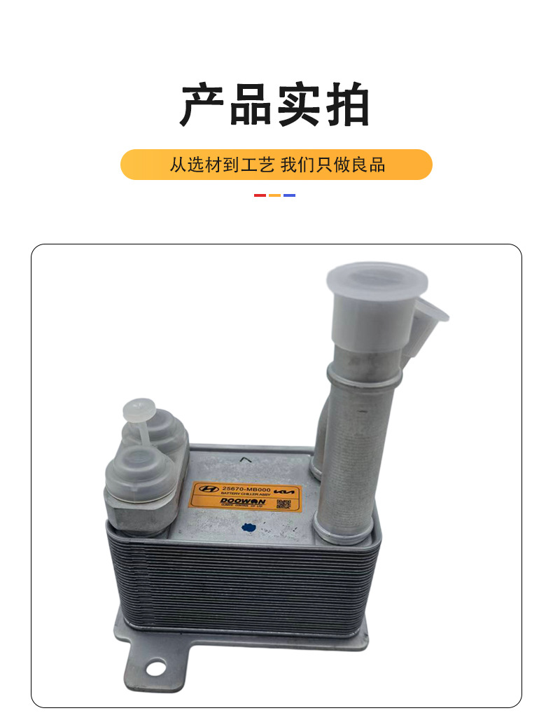 Suitable for Kia Ev5 Electric Vehicle Cooler Radiator Coolant Circulation Cooling Device Oe25670Mb00
