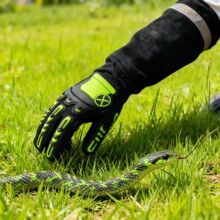 ����ҧ���׷�؈ҧ��؈ץ�Ӻ���⌣�ÄP����ţƤ�����ʹ�������