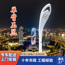 单臂玉兰灯 现代简约路灯高杆庭院灯 公路公园景观工程路灯