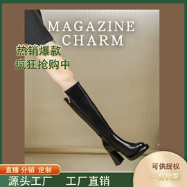 女式时装单鞋;女式皮靴;高跟凉鞋