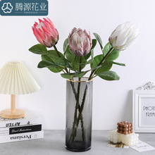 仿真花 帝王花 手感3D植绒家居酒店客厅装饰工程摄影摆件造景假花