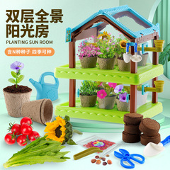Mini Sunshine Grow House Plant Cultivation Cabin Children's Plant Observation Growth Interesting Scientific Experiment Planting Toy