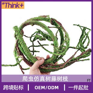 四方极爱电视剧