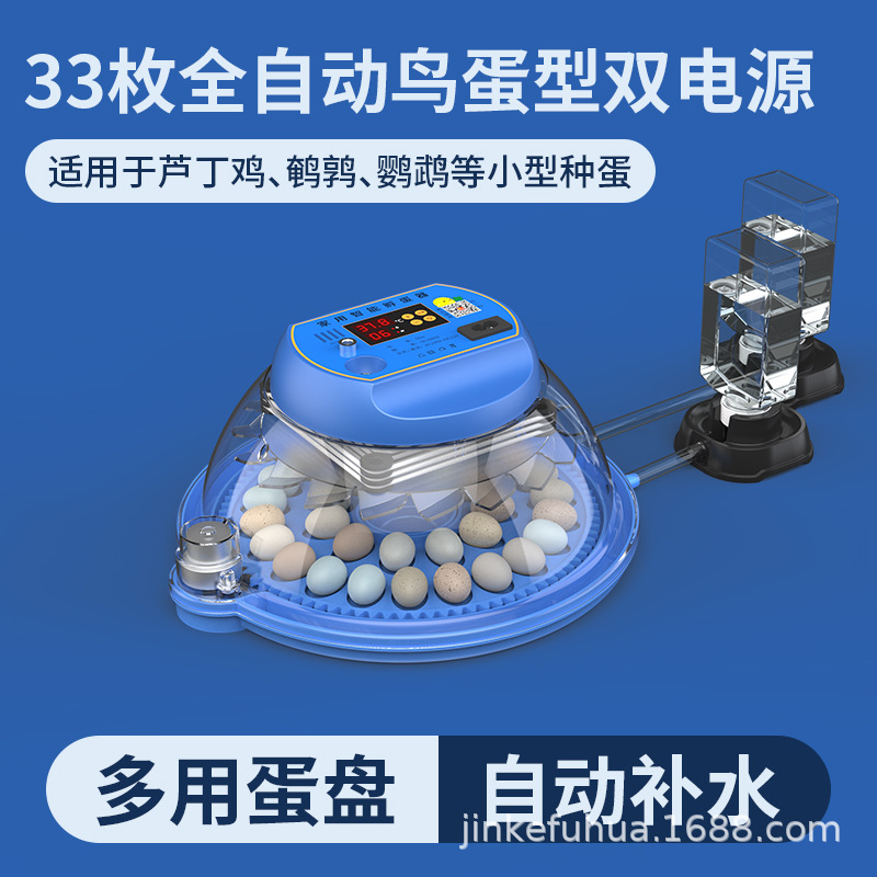 작은 알 33개 [이중 전기]