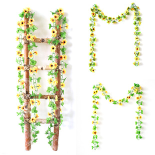 ����̫ꖻ��ٗl���տ����҃ȿ��{�ܵ��p�@����С�r�ջ��ٹ����b�