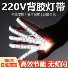 ����220v����ledܛ��10cm���l�������b���ճ����չ���NƬ���l