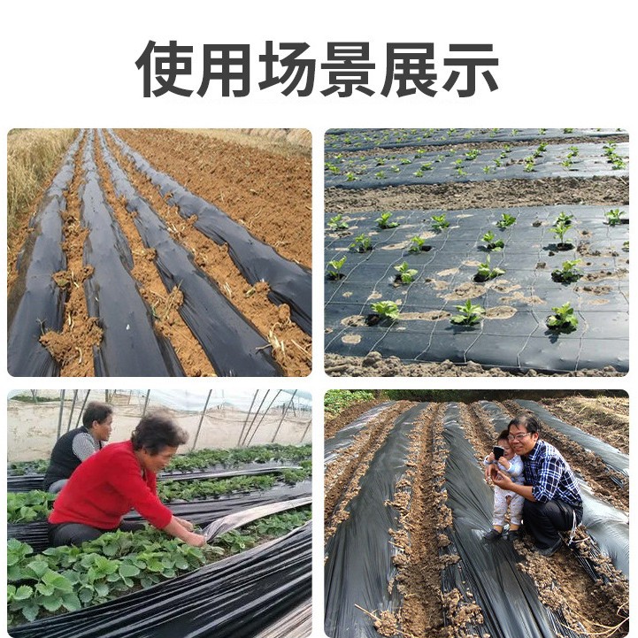 Mulch film agrícola mulch film negro verduras PE película de plástico resistente al envejecimiento cubierta herbicida anticongelante plantación de vegetales control de hierbas