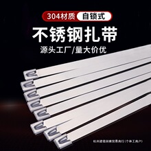 304P10ϵд10MM늾ܽٽ⴬