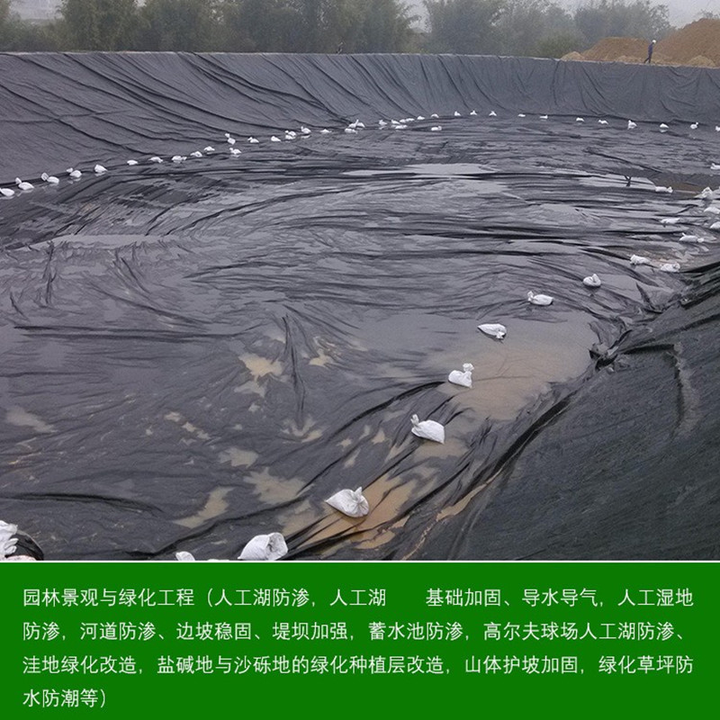 fish pond Geomembrane Pond Tarps Landfill reunite with Geomembrane Pond Sunscreen Leak proof Dedicated 10 M large