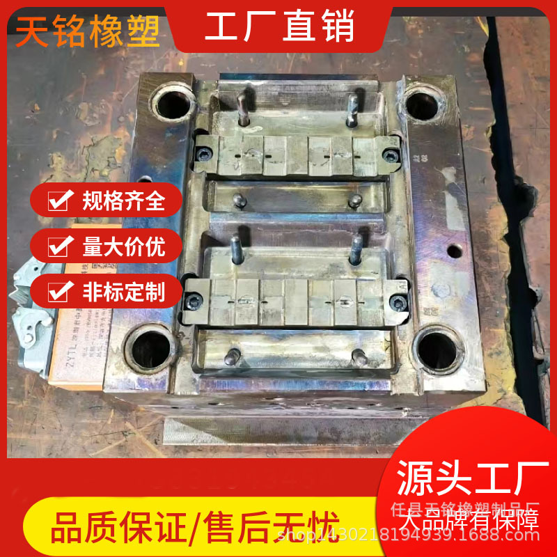 Plastic Mould