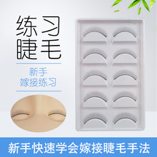 �Nֲ�޽Ӿ�����ë���֌W�T�W���̌W���Ϲ��߆θ��δؾ����ٽ�ë