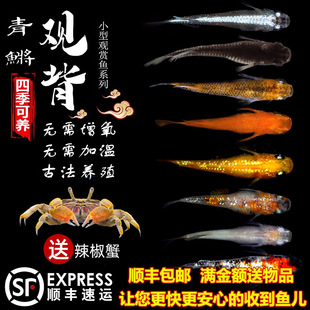 �^�����F�^�p�~ħ���~��ˮ�~С���\����ˮ�~���������B���w���]�p