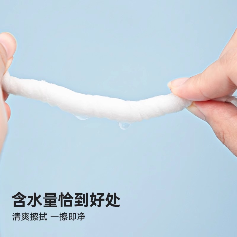 日本アリスウェットティッシュアルコール消毒ウェットティッシュ除菌バケツセット靴磨きトイレトイレ清潔衛生殺菌