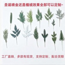 �羳����Gֲ���h���滨��֦�����������������l�}�Q�}�Q���b�