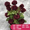 Rose seedlings Yunnan Rose Potted Plant Slap Four Seasons Blossoming Old Piles and Fragrant Fragrant Flower Plant Seedlings