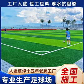 跑道草坪;仿真草皮;仿真绿植