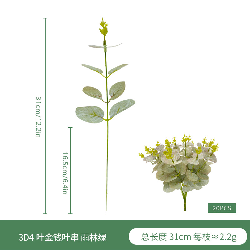 3D4 잎 돈 잎 문자열 열대 우림 녹색 A09645