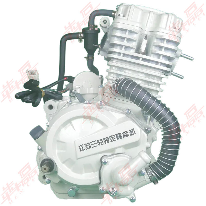 Jiangsu Zongshen Same Model Weifeng 200250300350 Dual Cooling Jiangsu Three-Wheel Motorcycle Heavy-Duty Engine Assembly