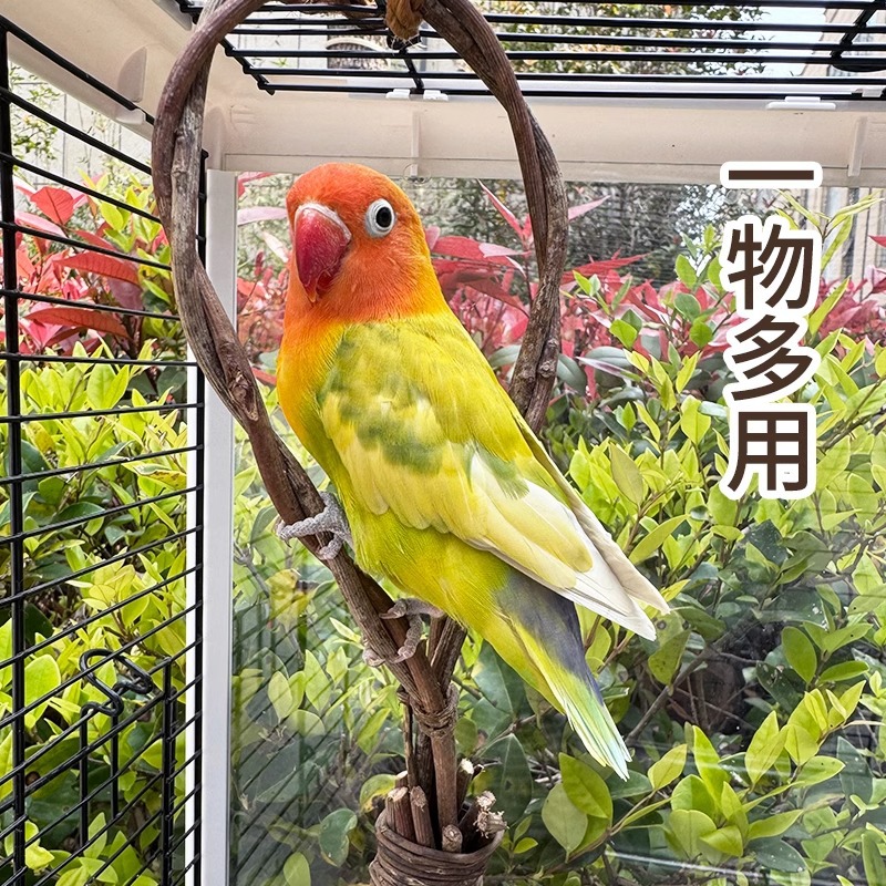 Nido de pájaros tejido de caña tejido de caña tejido de paja tejido a mano colgante decoración de jaula de pájaros colgante nido de peonía suministros paisajísticos image 4