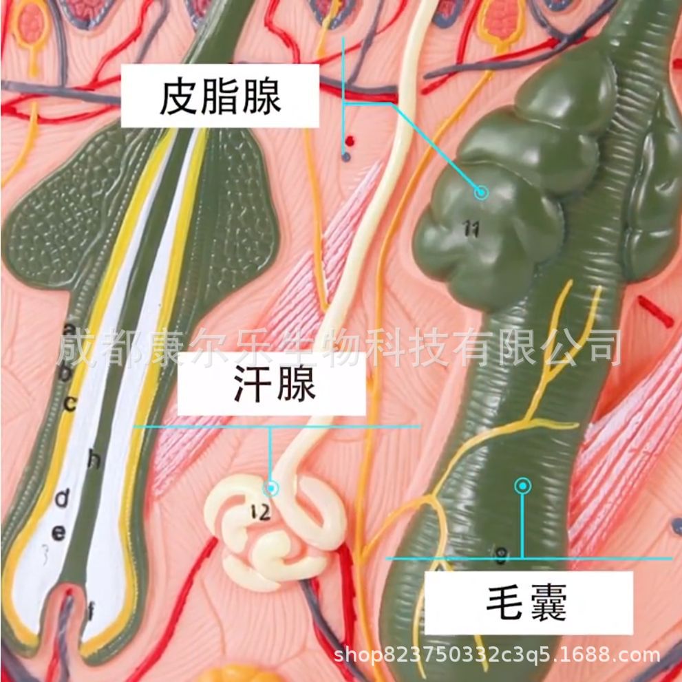 微信图片_20220804162700