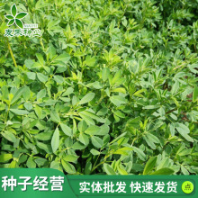 �ϻ���ޣ�ݷN�Ѷ��������ݷN���ļ��Bֳιţ���u���Z���~���ݷN��