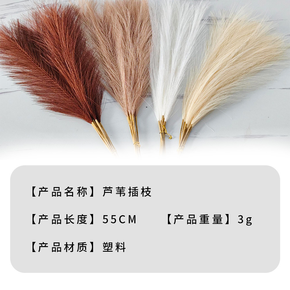 A principios de otoño Morandi sistema de color sistema de caña imitación de fuegos artificiales props de disparo Macaron sistema de color transfronterizo mayorista