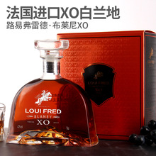 法国进口洋酒礼盒装 40度烈酒路易弗雷德布莱尼XO白兰地 酒水包邮