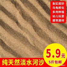 河沙细沙多肉种植种花沙子乌龟冬眠沙鱼缸沙建筑沙水族造景