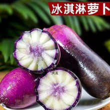 Y冰淇淋水果萝卜冰激凌红冰糖心甜脆水果型非凤梨潍坊青萝卜全年