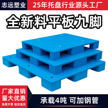 _z}ϱP|ضѵؼ̨ܵ܇бP1210