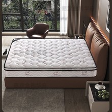 ϯ˼ǼƵꏗɴ|ƫӲҬسܛzɼӺܛ|