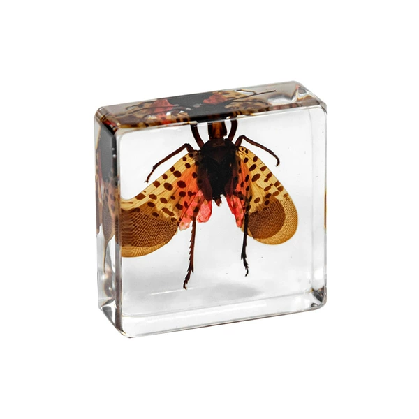 3.8cm small square striped wax cicada